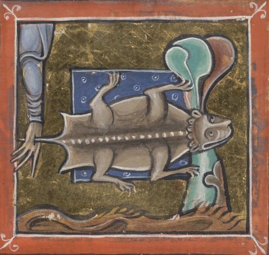 Medieval depiction of a scorpion with four legs and a dog-like face
