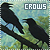 Crows