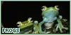 Frogs