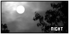 Night