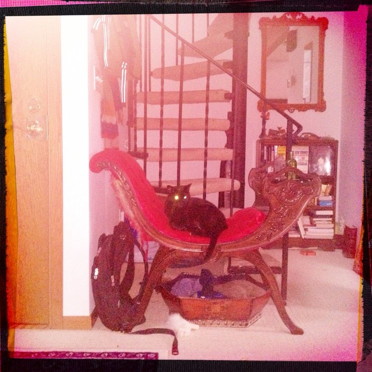 Black cat laying on a red chair with an orange-tinted vintage photo filter