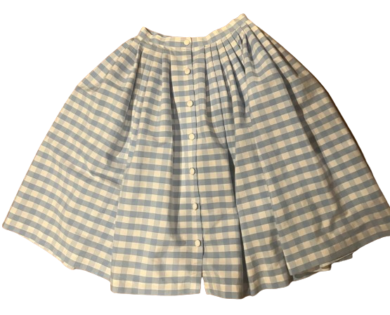 Blue and white button-front gingham skirt