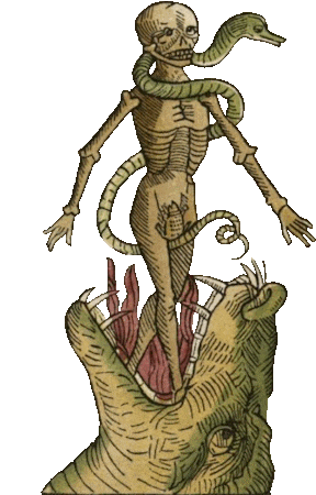 Skeleton dancing with snake in a hellmouth